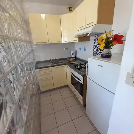 Apartment Iva